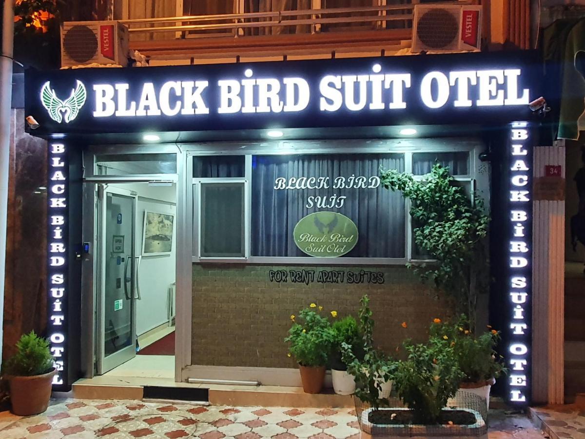 Black Bird Suite Hotel — Fotoğraflar 3