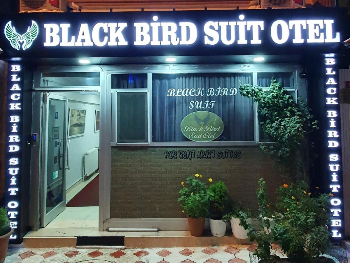 Black Bird Suite Hotel — Fotoğraflar 2